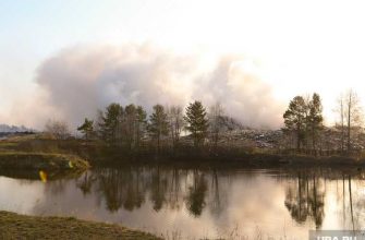 пожар на свалке