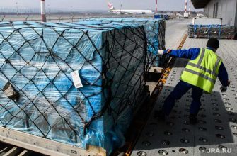 Грузчики стали самыми нужными работниками в РФ после врачей