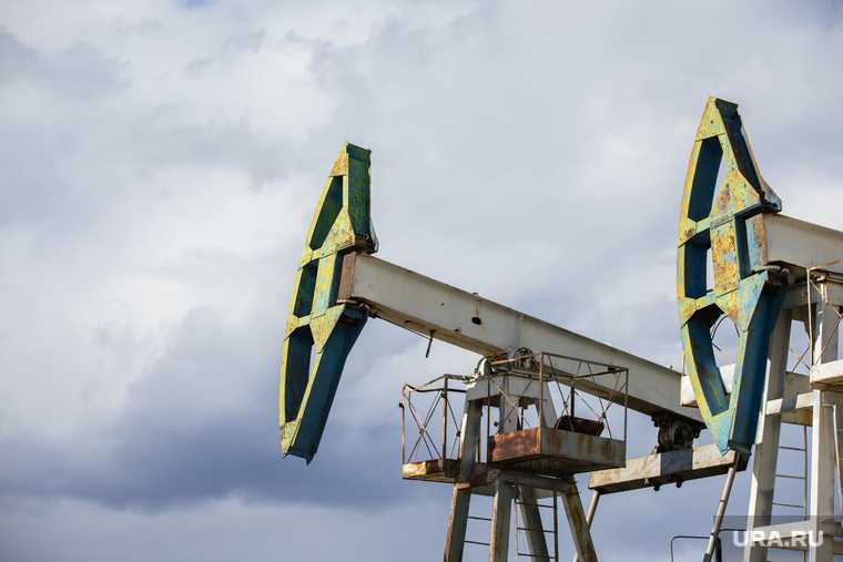 Shell увеличит долю проект Газпрома Енисей