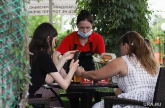 Геннадий Онищенко оценил безопасность летние кафе коронавирус