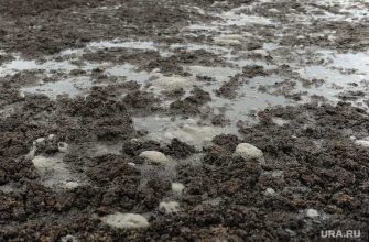 Аксарка массовое отравление жителей вода бактерии калофаги