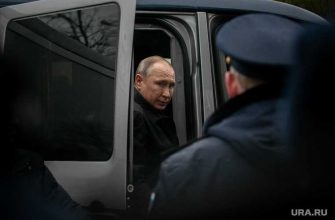 голосование поправки Конституция причины рабочая группа