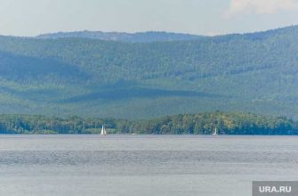 губернатор вышел по УДО