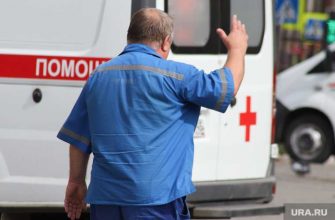 курганские медики