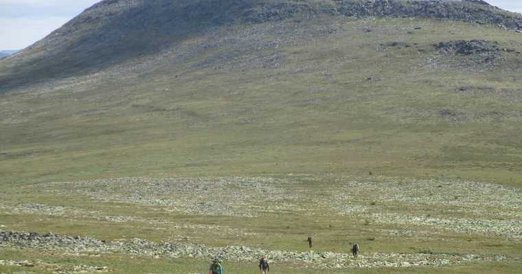 фонда памяти группы дятлова юрий кунцевич алексей королев
