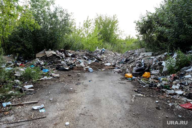 мусор в Курганской области