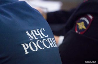 В Госдуме выступили за отправку российских спасателей в Бейрут