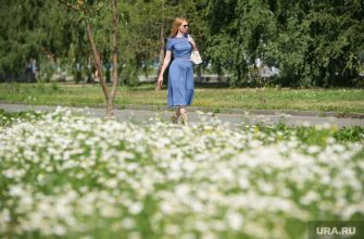 какая осень будет в сентябре