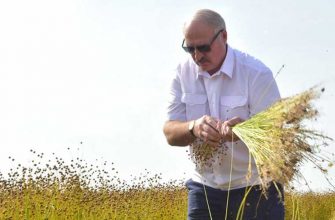 Белоруссия выборы фальсификации питаленко сташевский