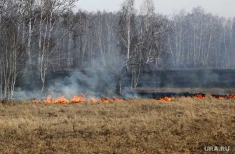 предупреждение пожары Россия Москва лес