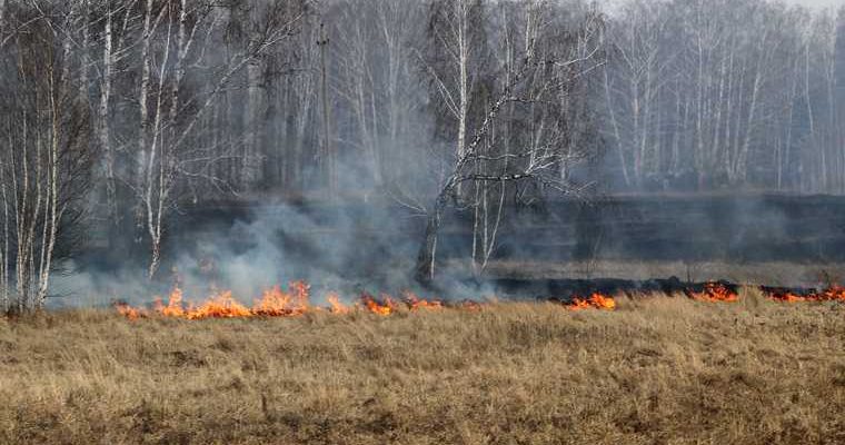 предупреждение пожары Россия Москва лес
