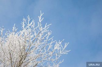 тесак смерть