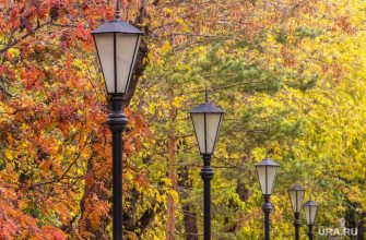 погода в России