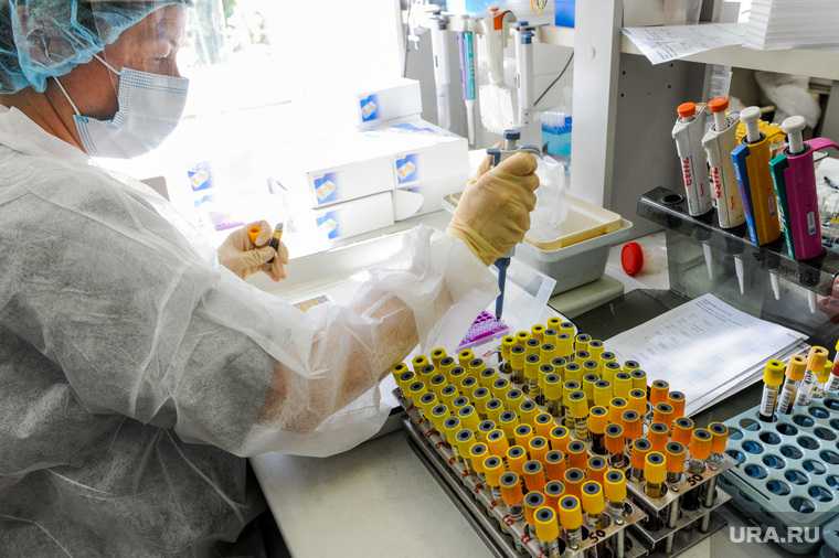 Россия новые данные статистика коронавирус заболеваемость заболевшие