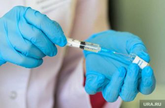 прививка коронавирус грипп совместимость врач