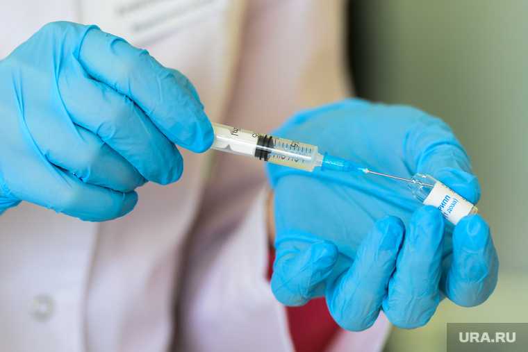 прививка коронавирус грипп совместимость врач
