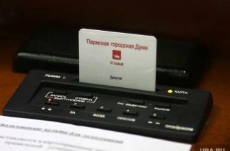 депутаты гордумы Перми заседание в формате ВКС