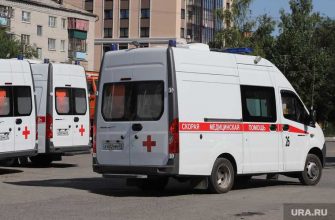 когда коронавирус пойдет на спад