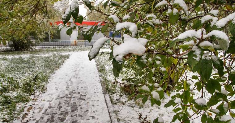 павел перевалов