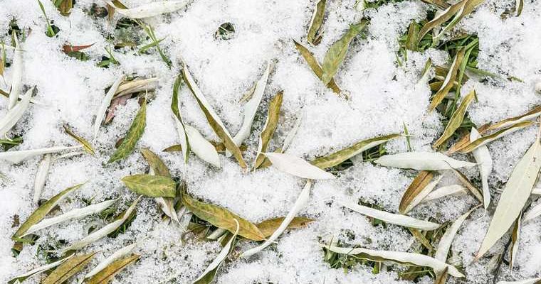 В Тюменской области испортится погода