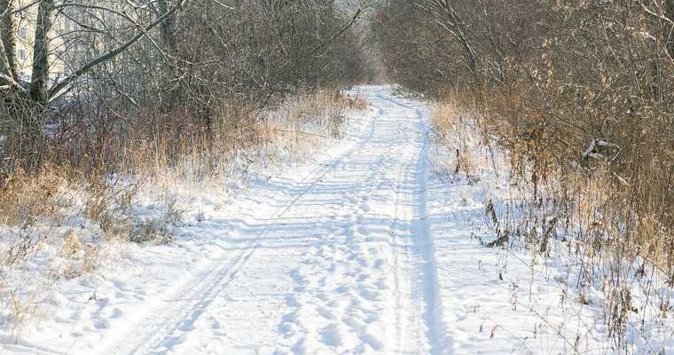 эпидситуация