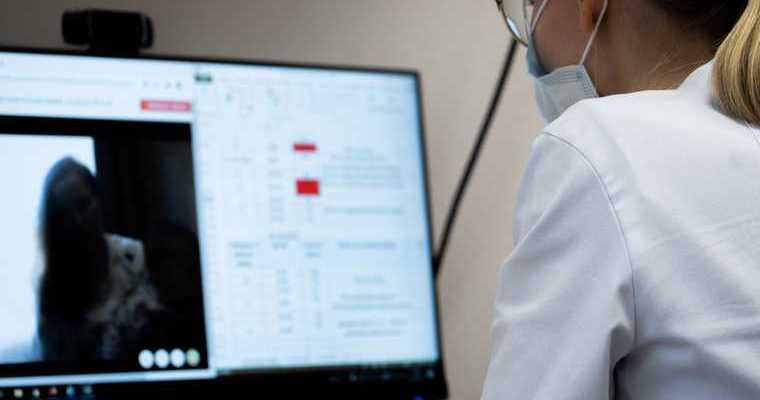 Ноябрьск ЯНАО тест на коронавирус