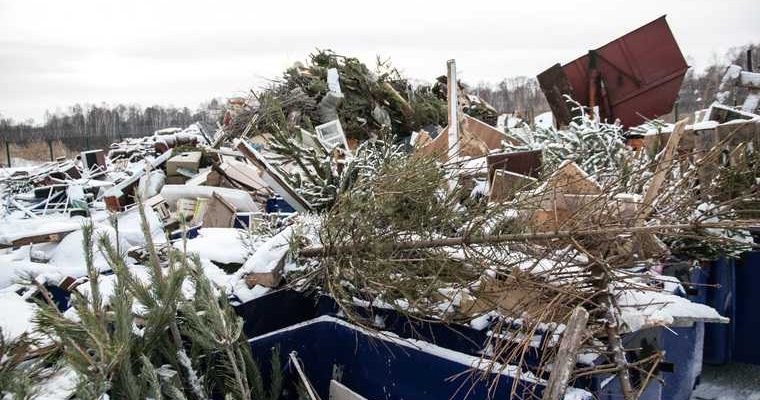 стихийная свалка Чайковский округ