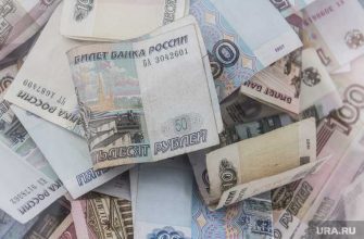 в России хотят ввести предновогодние выплаты