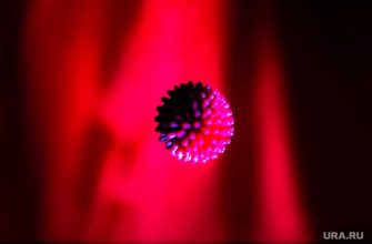 новые штаммы коронавируса