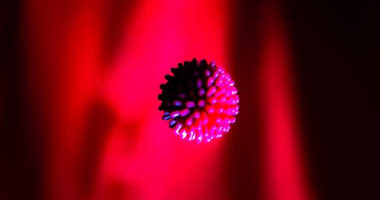 новые штаммы коронавируса