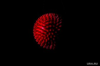 первый зараженный британским штаммом в России