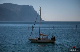 коронавирус определить в домашних условиях