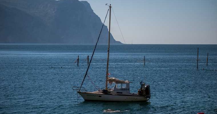 коронавирус определить в домашних условиях