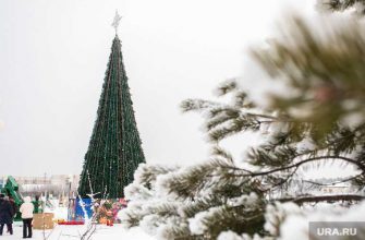Тюменская область инициатива правительство