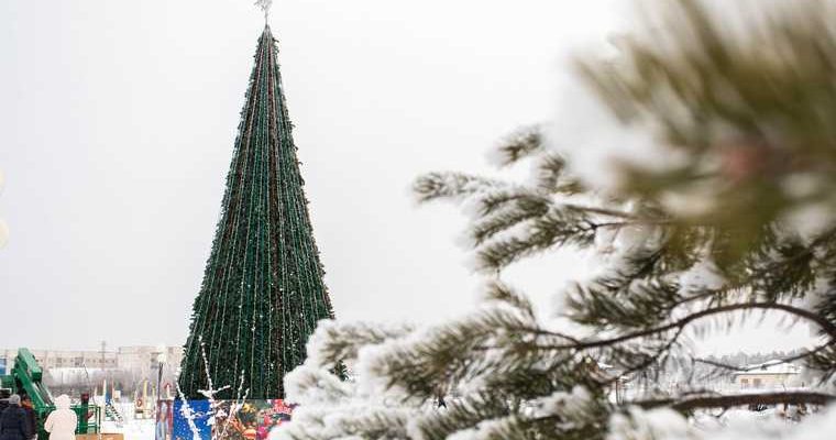 Тюменская область инициатива правительство