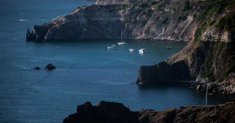 звезды новый год