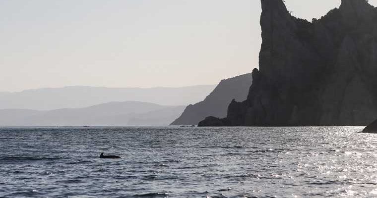 в Индонезии разбился самолет