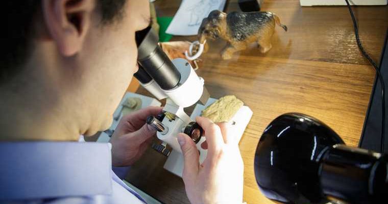 чем лечить коронавирус