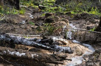 Россия землетрясение сейсмолог геофизик ученый объяснил