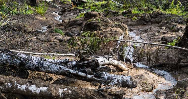 Россия землетрясение сейсмолог геофизик ученый объяснил