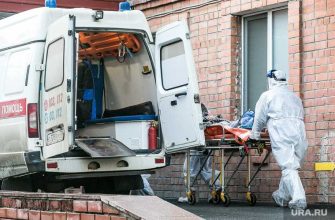 Россия ученые выявили новый штамм коронавирус