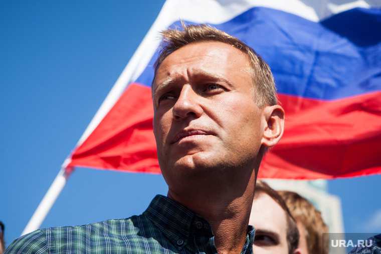 прилет Навального Внуково аресты