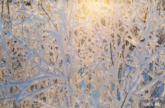 Зимник Коротчаево-Красноселькуп закрыли из-за погодных условий