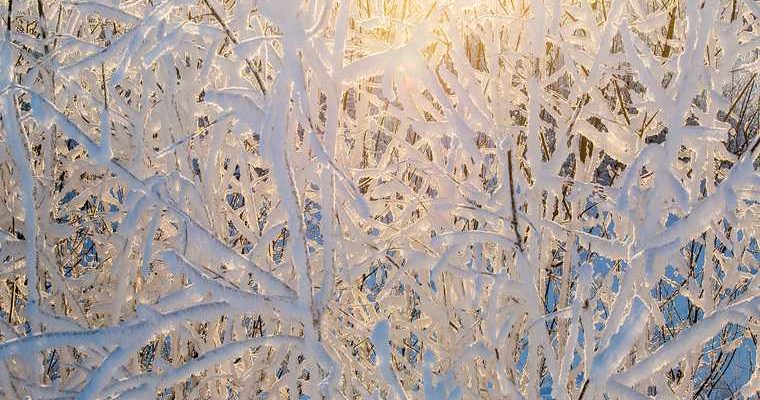 Зимник Коротчаево-Красноселькуп закрыли из-за погодных условий