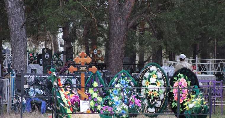 коронавирус Курган