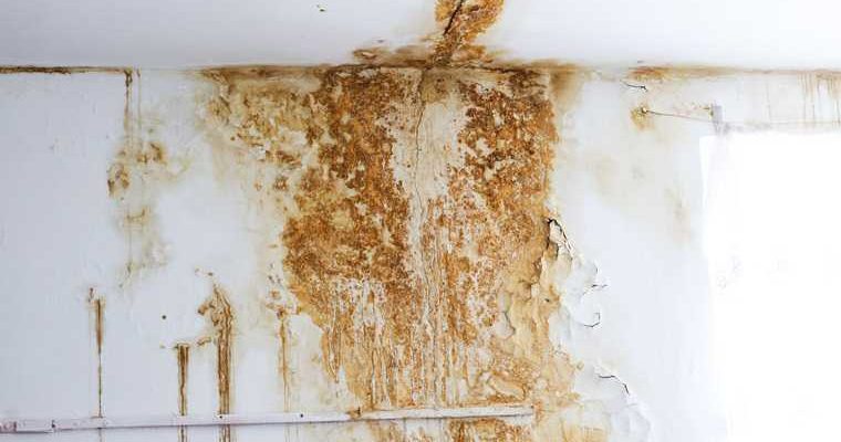 Течет крыша Курган